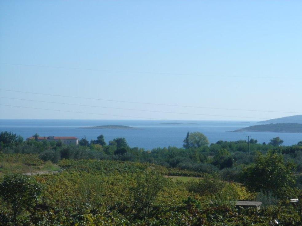 Der Blick auf das ca.1000 m entfernte Meer vom Baugrundstück in Orebic, Kroatien. Immobilien mit Meerblick - Panorama Scouting
