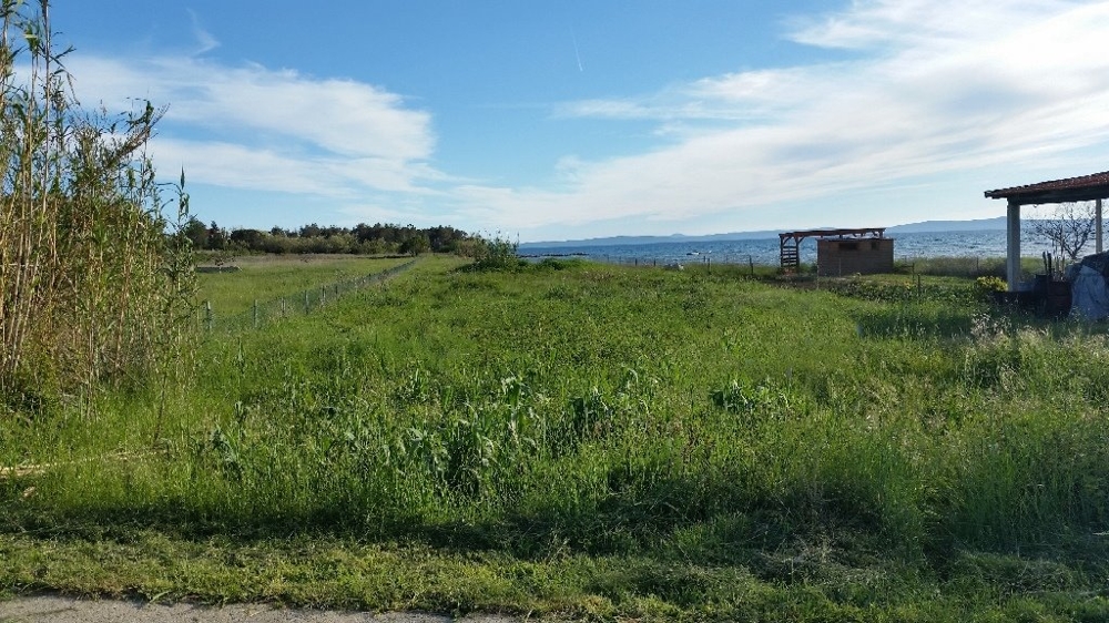 Sicht von der Zufahrtsstraße auf das Bauland - Grundstück kaufen Kroatien.