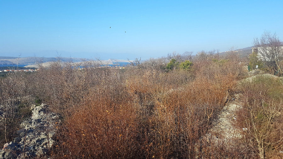 Blick in die grüne Umgebung der Immobilie G338, Region Crikvenica.