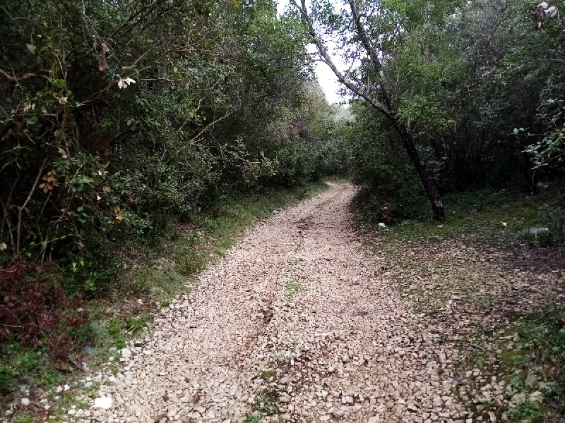Die Zufahrtsstraße zum Bauland auf der Insel Korcula - Grundstück kaufen Kroatien.