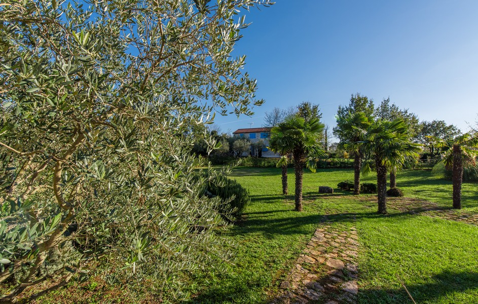 Haus mit Palmen im Garten kaufen in Kroatien - Panorama Scouting GmbH.