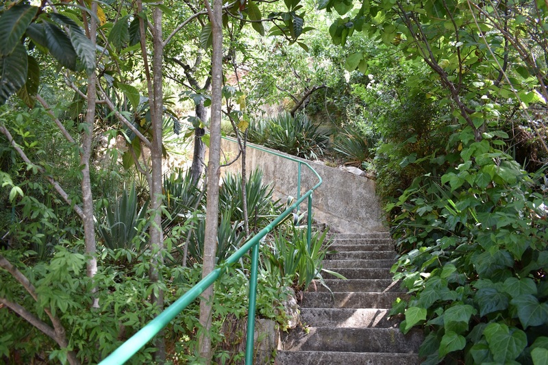 Treppenstufen führen direkt zum Meeresufer.