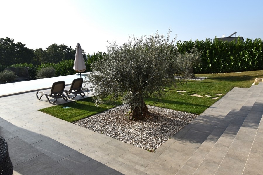 Villa mit angelegtem Garten mit Olivenbäumen
