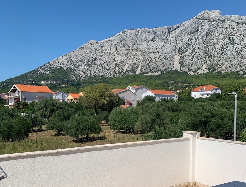Blick von der Terrasse des Hauses in Kroatien auf umliegende Olivenbäume und Berge im Hintergrund