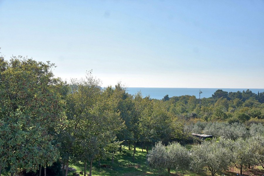 Aussicht auf das Meer und grüne Landschaft von der Wohnung in Istrien